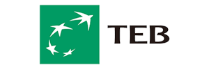 Teb